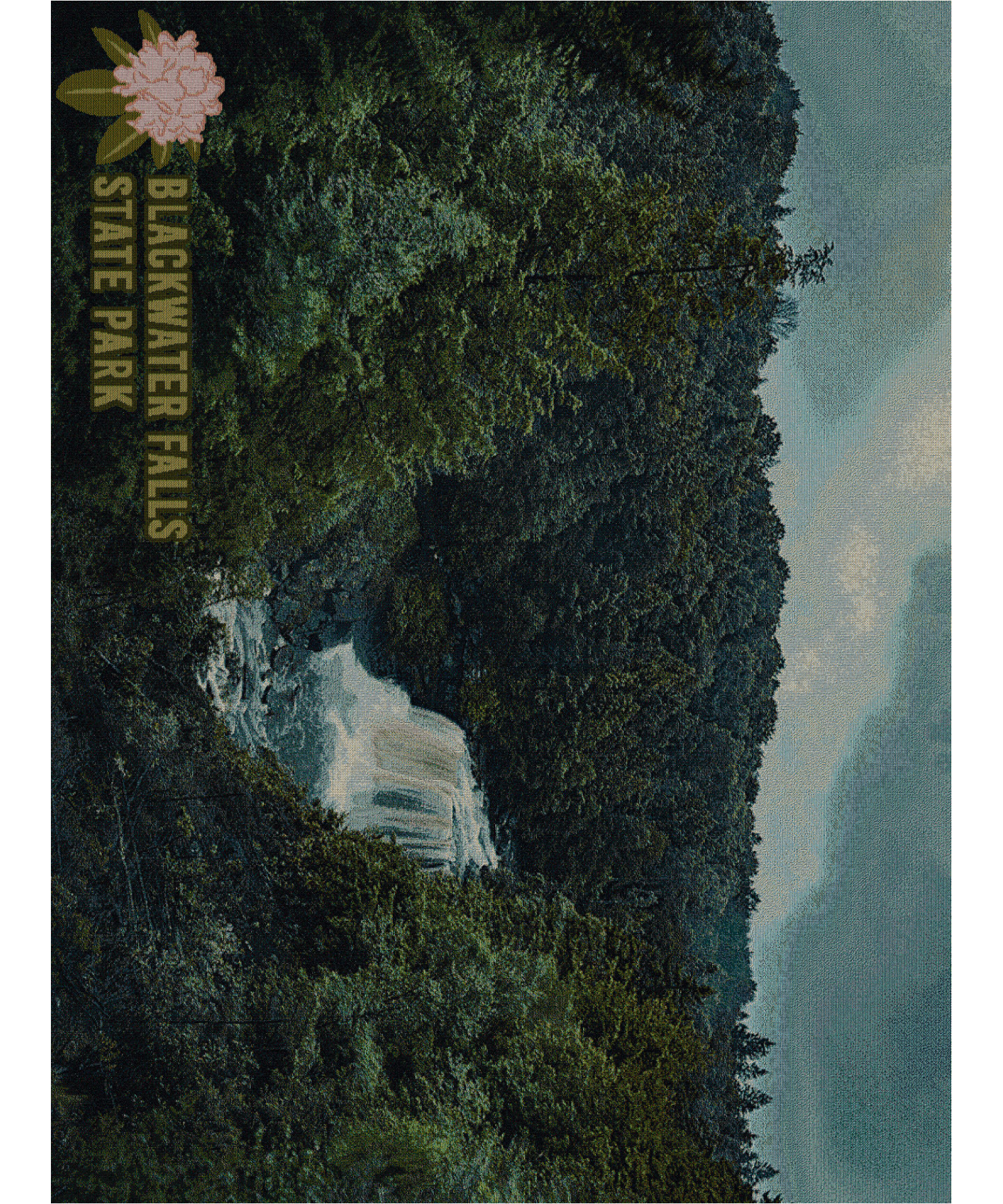 P1238-T_01800171-63b1-425c-b62a-ac72b96f1a0c.png
