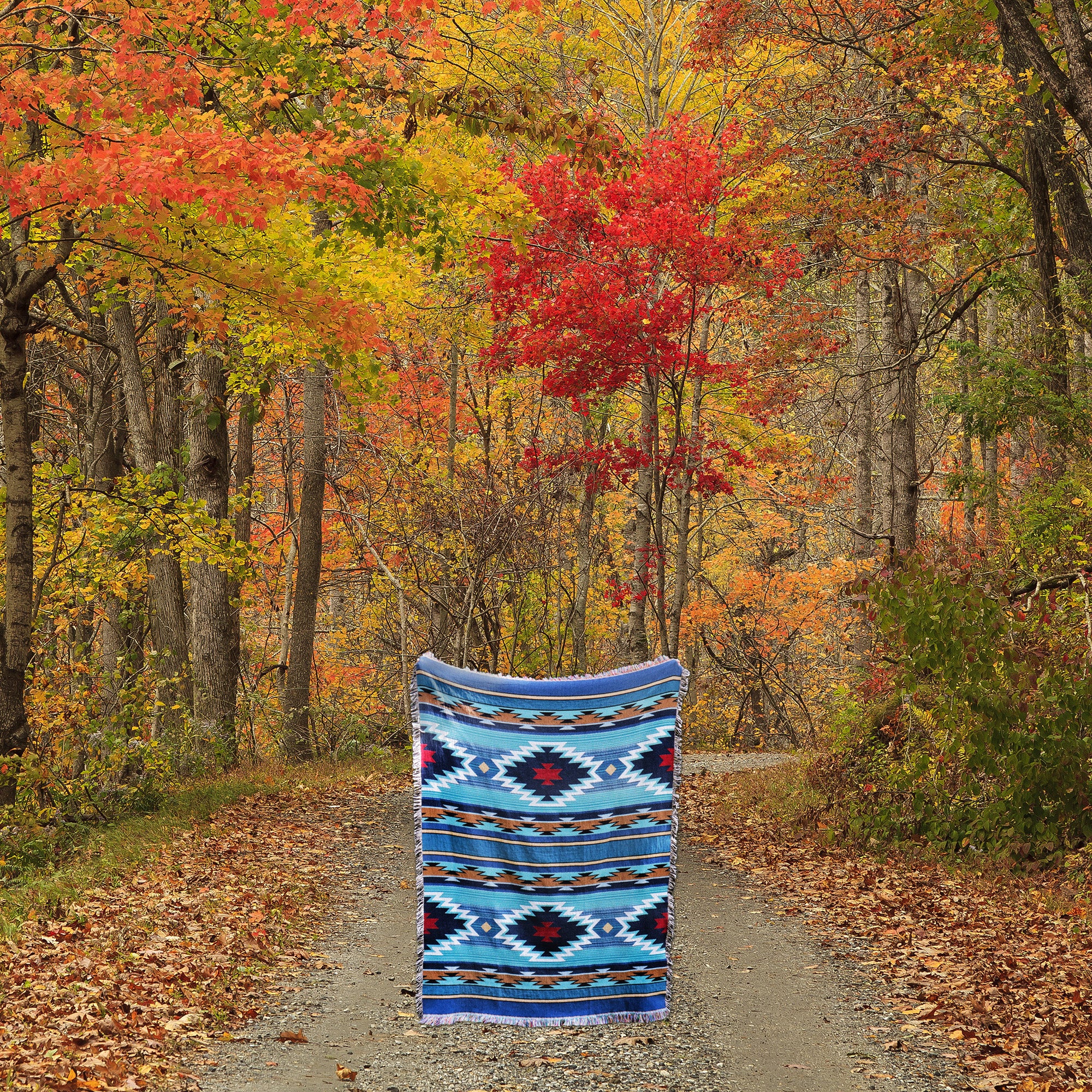 fall_leaves_with_biplor_blanket.jpg